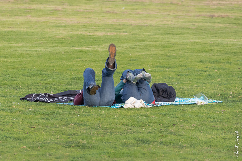 shoreline park